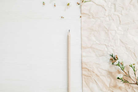 Piece of paper with pencil to note with little white flower and petalsの写真素材