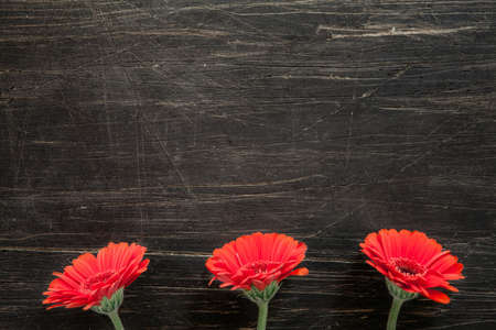 Red flowers on the bottom of vintage, scratched, black tableの写真素材