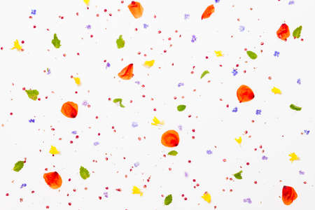 Little violet, yellow and red flowers with green leaves on white background