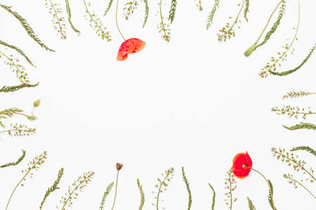 Floral frame from summer field flowers on white backgroundの写真素材