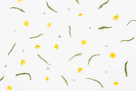 Pattern from green leaves, yellow and violet flowers on white backgroundの写真素材