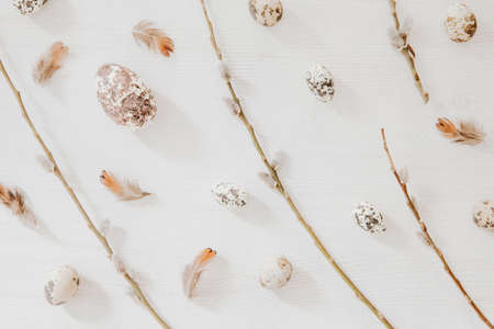 Easter, spring concept with fluffy willow, eggs and feathers. Flat lay, top view.の写真素材