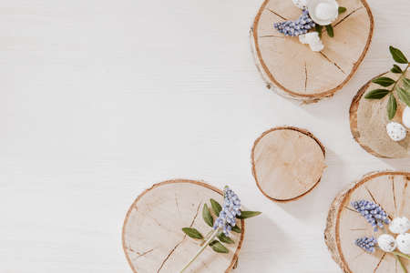 Wooden blocks with grape hyacinths, little eggs and green leaves on white wooden tableの写真素材
