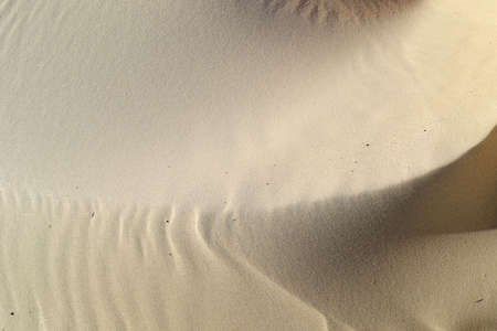 sand from beach
