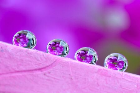 Water Drops Reflectionの写真素材