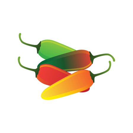 raw green, red, yellow jalapeno pepper. vector illustrationのイラスト素材