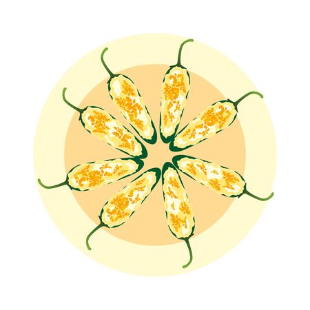 slices of raw green jalapeno pepper. vector illustrationのイラスト素材