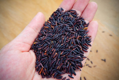 Thai Organic Riceberry in hand / pile of raw riceberries on hand wood background product agriculture of thail (Thai rice berry)の写真素材