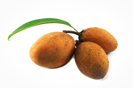 Sapodilla fruit isolated / three of fresh sapodilla fruit and leaves isolated on white background - brown of sapodilla tropical fruit (Manilkara zapota)の写真素材
