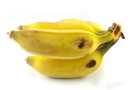 Ripe cultivated bananas isolatde / Organic nature cultivated banana local tropical fruit asia isolated on white backgroundの写真素材