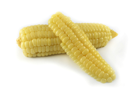 ripe corn isolated / boiled corn cook slice isolated on white background - white corn for asia foodの写真素材