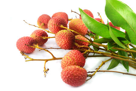 fresh lychee isolated / red lychee fruit and leaf isolated on white background - ripe lychee sweet tropical fruit high vitaminの写真素材