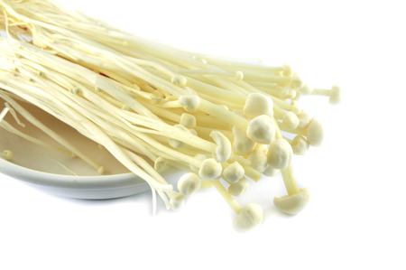enoki mushroom isolated / fresh of golden needle or enoki mushroom isolated on white background