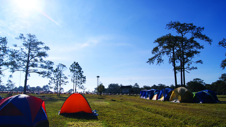 camping tent area outdoors in the phu kradueng national park at Loei Thailand and clear sky bright colorful tent pine tree backgroundの写真素材