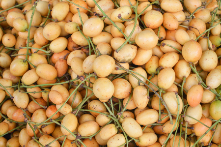 burmese grape background / pile of burmese grape tropical fruit on background for sale in the marketの写真素材
