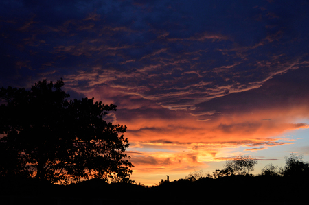 silhouette tree amazing cloud sky sunset / orange dark storm scary dramatic clouds on sunset beautiful with motion clouds over storm in forest summerの写真素材