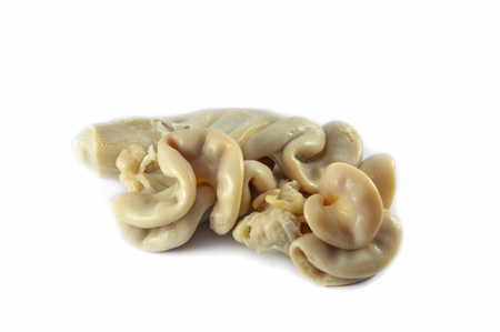 chitterlings pork entrails / intestines part of pork isolated on white backgroundの写真素材