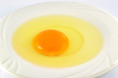 egg yolk isolated / fresh broken egg with yolk egg on white plate isolated on white backgroundの写真素材
