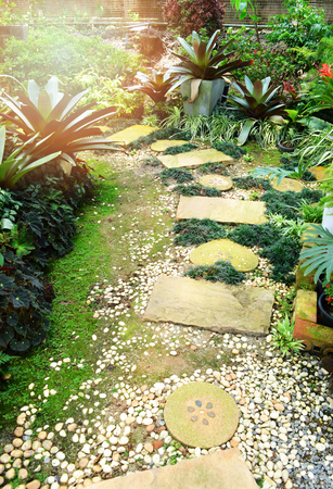 walkway in the park / the garden green plant pathway with rock on the spring garden of ornamental plantsの写真素材