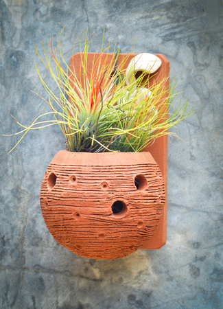 baked clay vase pot plant / ornamental green plants growing in pot hanging on the wall gardenの写真素材