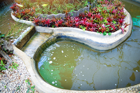 pond garden with plants / and small waterfall creating a pond water feature in the garden front yardの写真素材