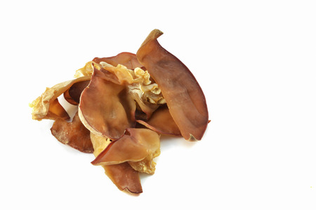 fresh Jew's ear mushroom / close up of Jew's ear or black fungus isolated on white background other...