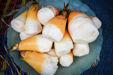 fresh bamboo shoot from bamboo forest on plate for cook food