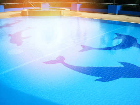 swimming pool tiles / dolphin pattern on swimming pool water blue surfaceの写真素材