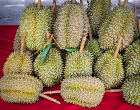 durian thai / fresh durian fruit in the basket from the durian garden for sale in the local markets thailand tropical fruitの写真素材