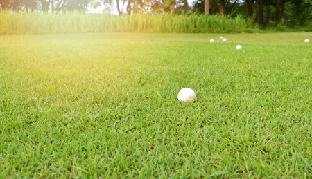 Golf ball on green grass of golf course / the park outdoors golf fieldの写真素材