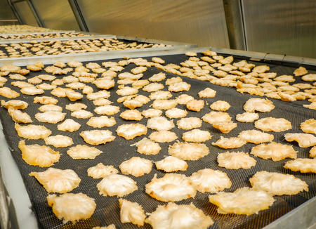 Dried fruit / Making dry fruit on net with dried pineapple in room temperature control to dry with...