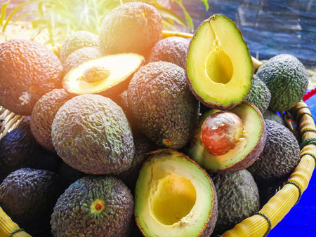 fresh avocado fruit / pile of Avocado organic in the basket and cut half avocado tropical fruit