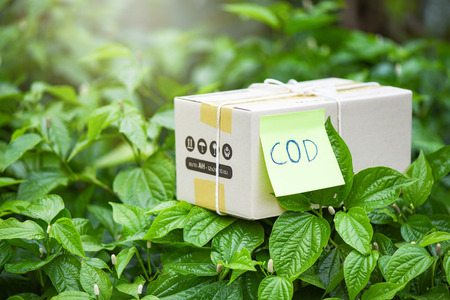 cash on delivery shipping ecommerce delivery shopping online and order concept / selling online...