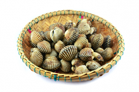 fresh cockles in the basket isolated on white backgroundの写真素材