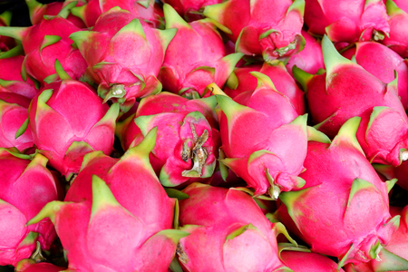 Dragon fruit texture background / fresh dragon fruit for sale in the market tropical fruitの写真素材