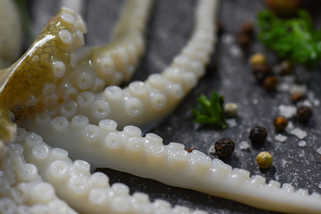 Seafood fresh squid raw ocean gourmet dinner with herbs and spices on dark background / Close up tentacles of octopus seafood selective focusの写真素材