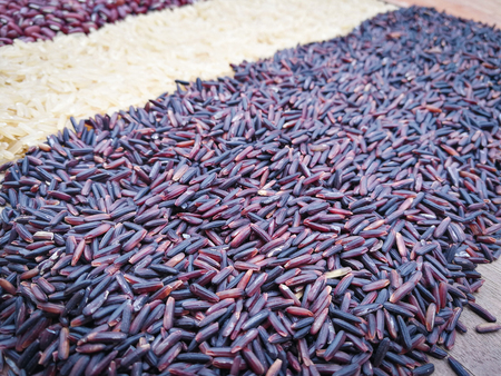 Thai Rice riceberry agricultural produce purple rice organic food and grains or cereals bean seeds backgroundの写真素材