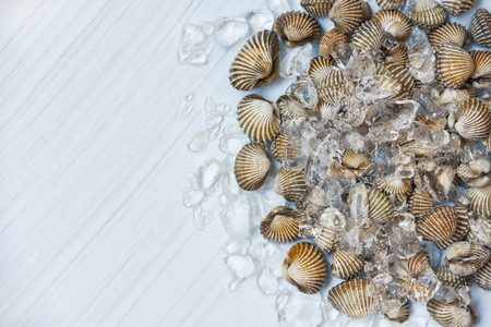 Seafood Cockles on ice background / Fresh raw Shellfish blood cockle ocean gourmet on ice in the restaurant with white wooden top viewの写真素材