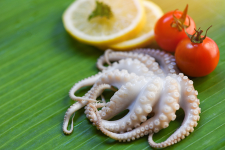 Seafood fresh squid octopus raw and lemon parsley tomato on banana leaf backgroundの写真素材
