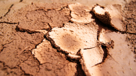 Ground crack background / soil texture and season dry mud arid landの写真素材