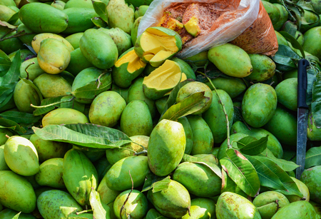 Green fresh Mango background for sale in the market / tropical fruit asiaの写真素材