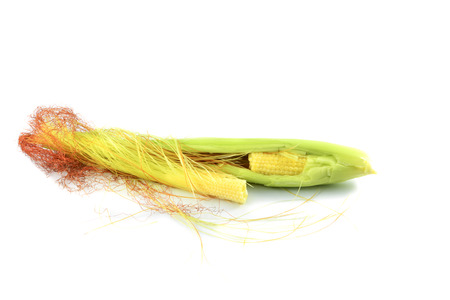 Close up of young baby sweet corn ear in fresh corn cob isolated on white backgroundの写真素材