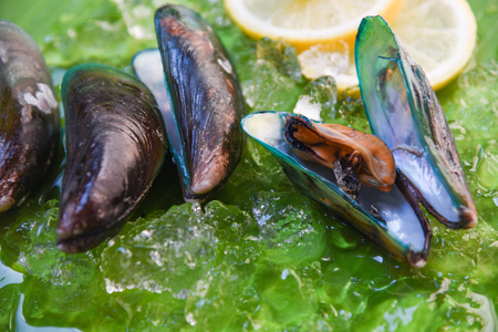 Shellfish Seafood green Mussel fresh ocean gourmet dinner with lemon and ice on banana leaf...