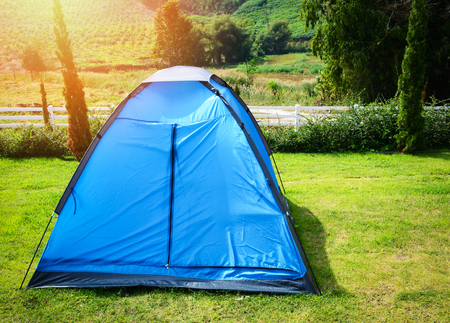 Colorful blue tent camping in row beautiful on green grass meadow for tourist travel relax outdoor holiday timeの写真素材