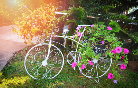 Petunia flower bouquet pot on basket bicycle in the gardenの写真素材