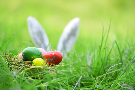 Easter bunny and Easter eggs on green grass outdoor / Colorful eggs in the nest basket and ear rabbit on field spring meadowの写真素材