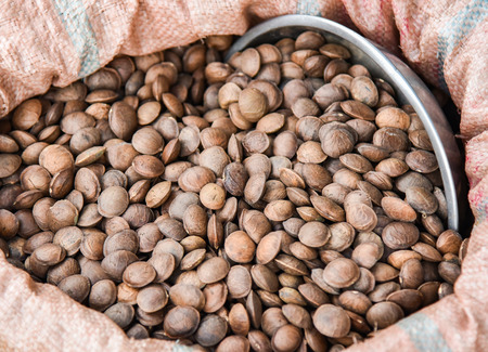 Sacha Inchi seed or inca peanut in bag Sack / star inca