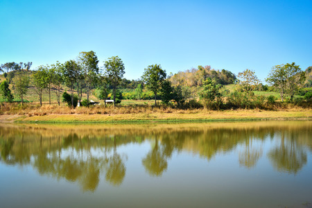 Pond on summer season forest with agricultural area and mountain background sunny day blue sky in countryside lakeの写真素材