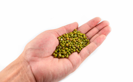 Mung beans in hand isolated on white backgroundの写真素材