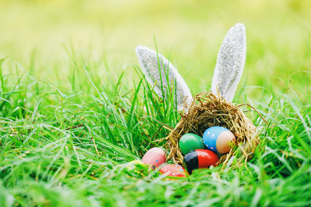 Easter bunny hunt easter eggs on green grass outdoor / Colorful eggs in the nest basket and ear...